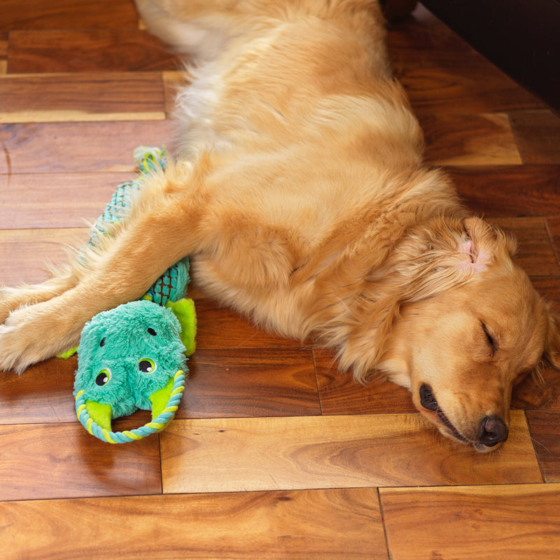 Outward Hound Dog Toy Ropiez Dragon Mlt LG