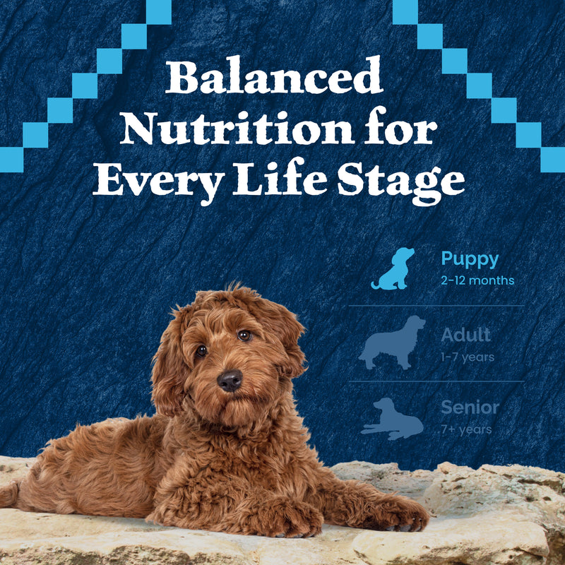 Blue Buffalo Wilderness High-Protein Natural Dry Food for Puppies, Chicken Recipe, 24-lb Bag