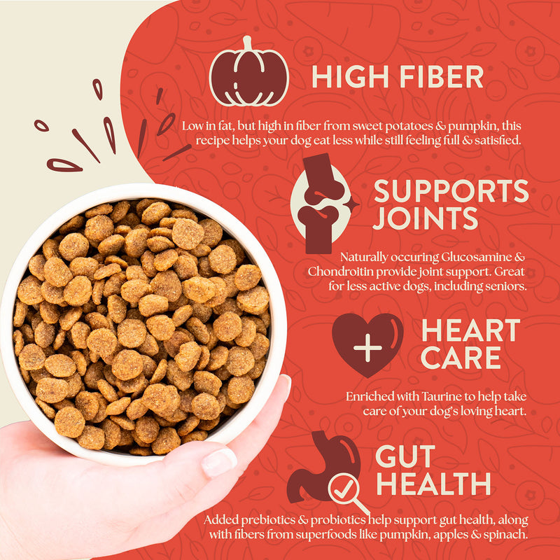 Earthborn Holistic Weight Control Chicken Meal & Vegetables Grain-Free Dry Dog Food 4 lb