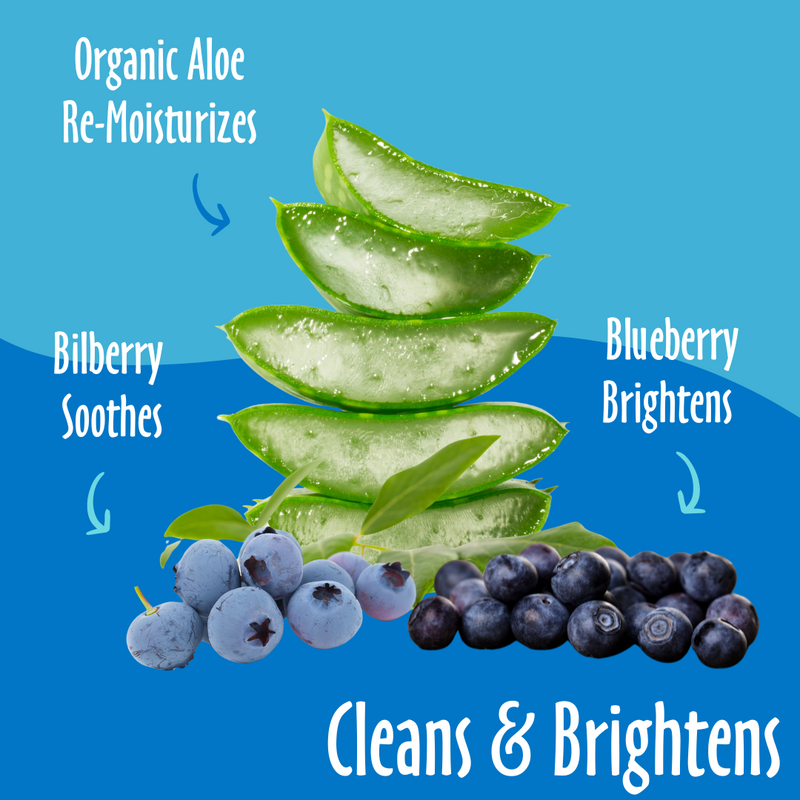 earthbathå¨ Foaming Facial Wash, Bilberry & Blueberry, 8 oz