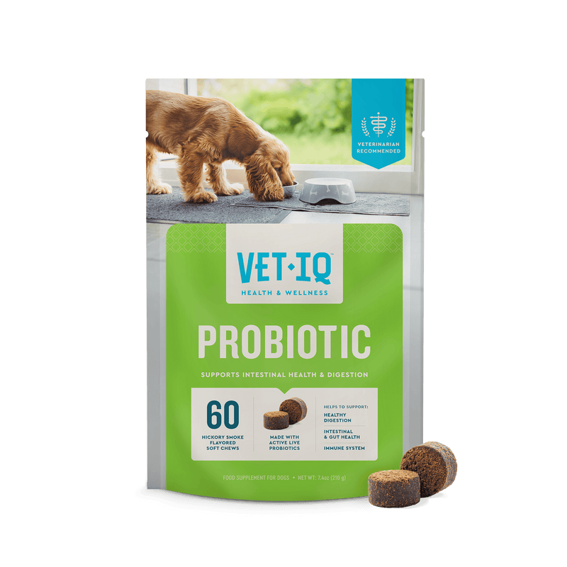 VetIQ Probiotic Dog Chew 60ct