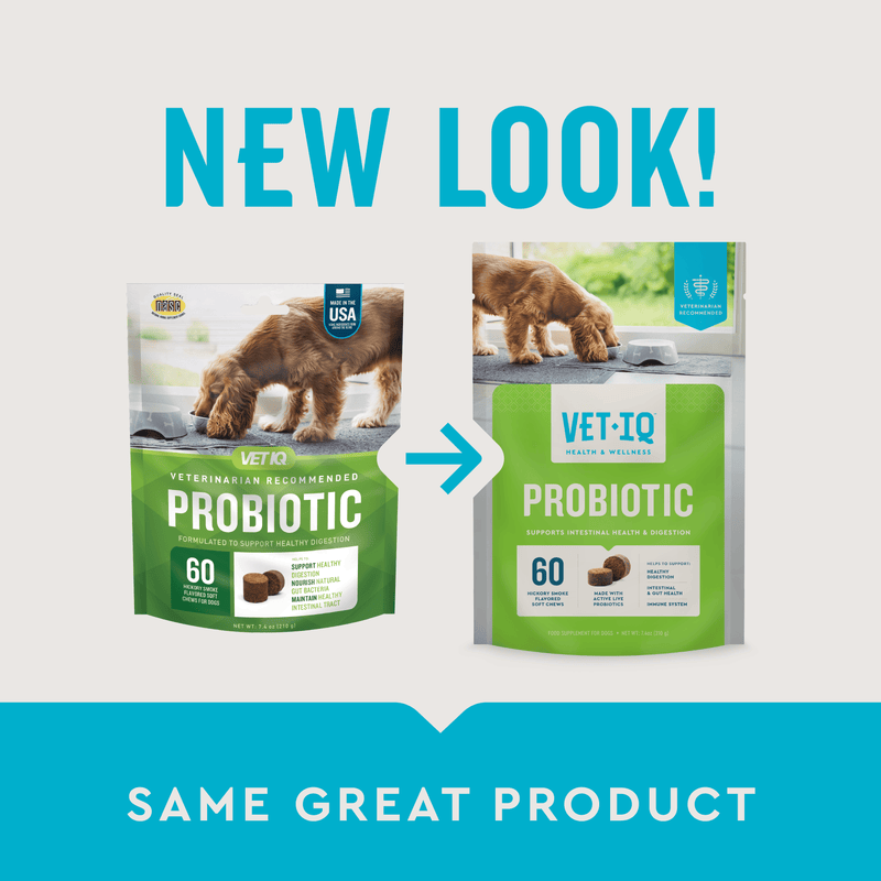 VetIQ Probiotic Dog Chew 60ct