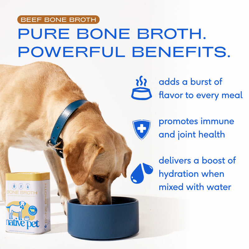 Native Pet Beef Bone Broth Powder Grain-Free Dog Food Topper, 4.75 oz