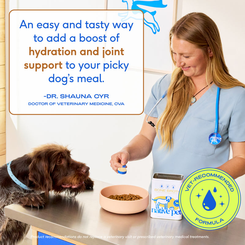 Native Pet Beef Bone Broth Powder Grain-Free Dog Food Topper, 4.75 oz