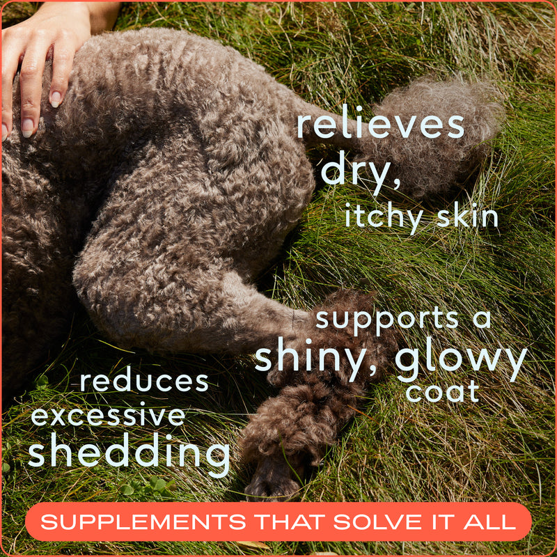 Native Pet Omega-3 Fish Oil & Alaskan Salmon Oil Skin & Coat Health Supplement for Dogs, 16 oz