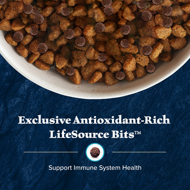 Blue Buffalo Wilderness Senior High Protein Dry Dog Food Wholesome Grains with Ingredients Chicken