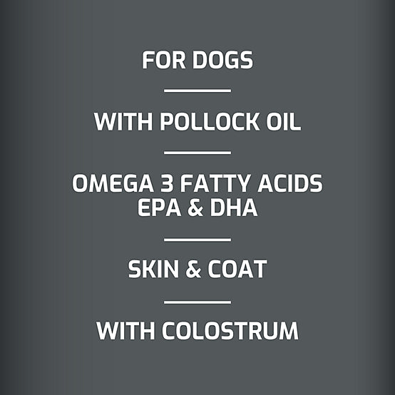 4health Allergy with Immune Support Oil Supplement for Dogs, 16 oz.