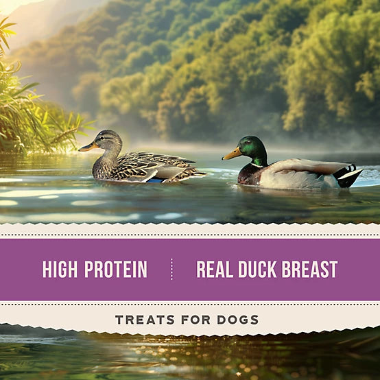4Health Duck Jerky 24oz