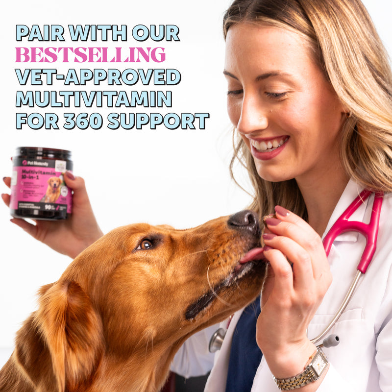 Pet Honesty Hip and Joint Bone Broth and Glucosamine Oil Supplement for Dogs, Turkey Flavor, 12 oz.