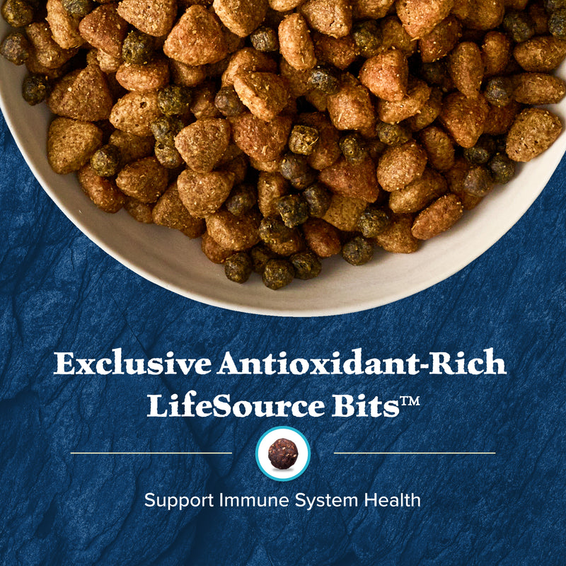 Blue Buffalo Wilderness High-Protein Rocky Mountain Recipe Dry Food for Puppies, Red Meat & Grains, 4.5-lb Bag