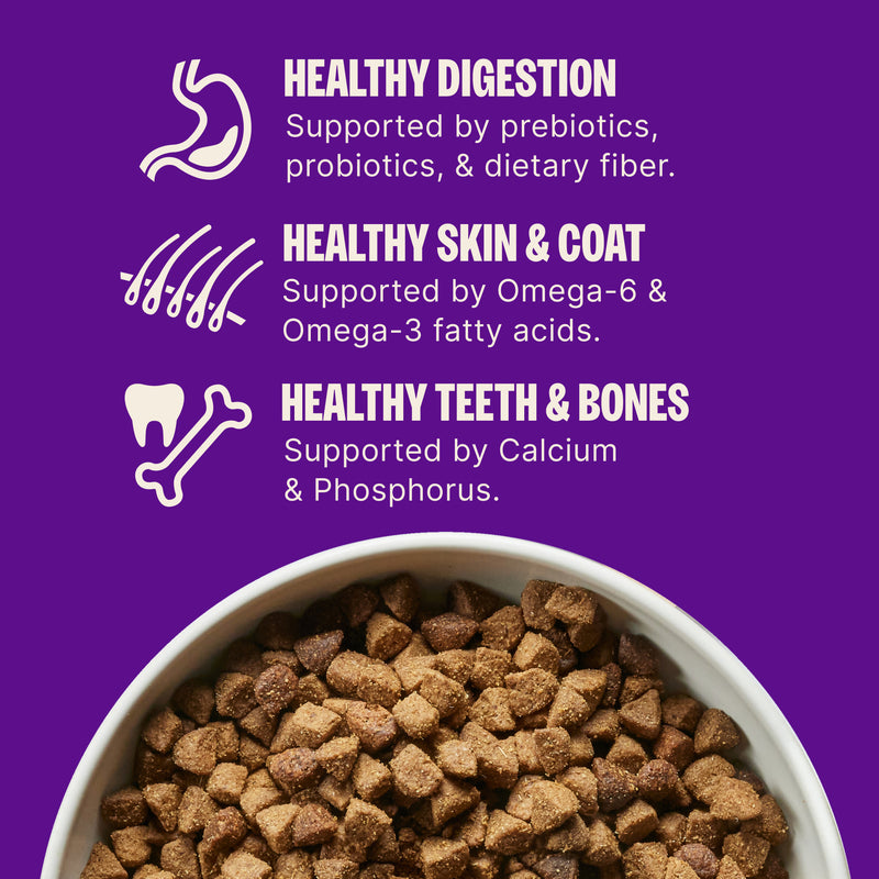Wellness Complete Health Dry Dog Food, Wholesome Grains, Natural, Lamb & Barley Recipe, (26-Pound Bag)