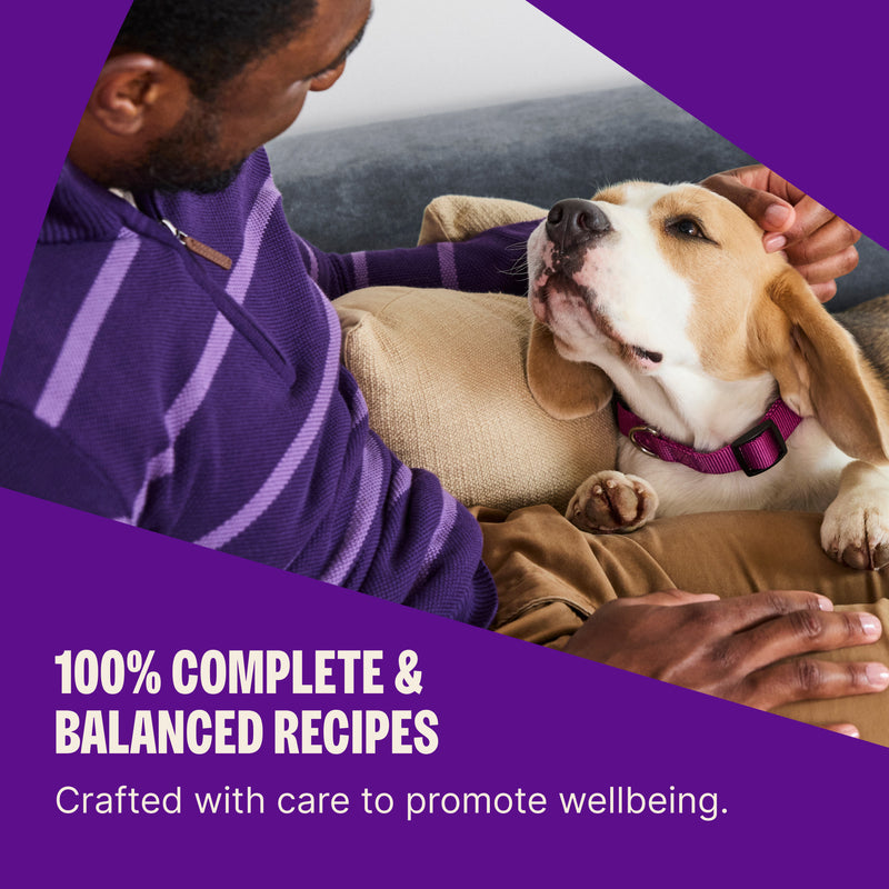 Wellness Complete Health Dry Dog Food, Wholesome Grains, Natural, Whitefish & Sweet Potato Recipe, (26-Pound Bag)