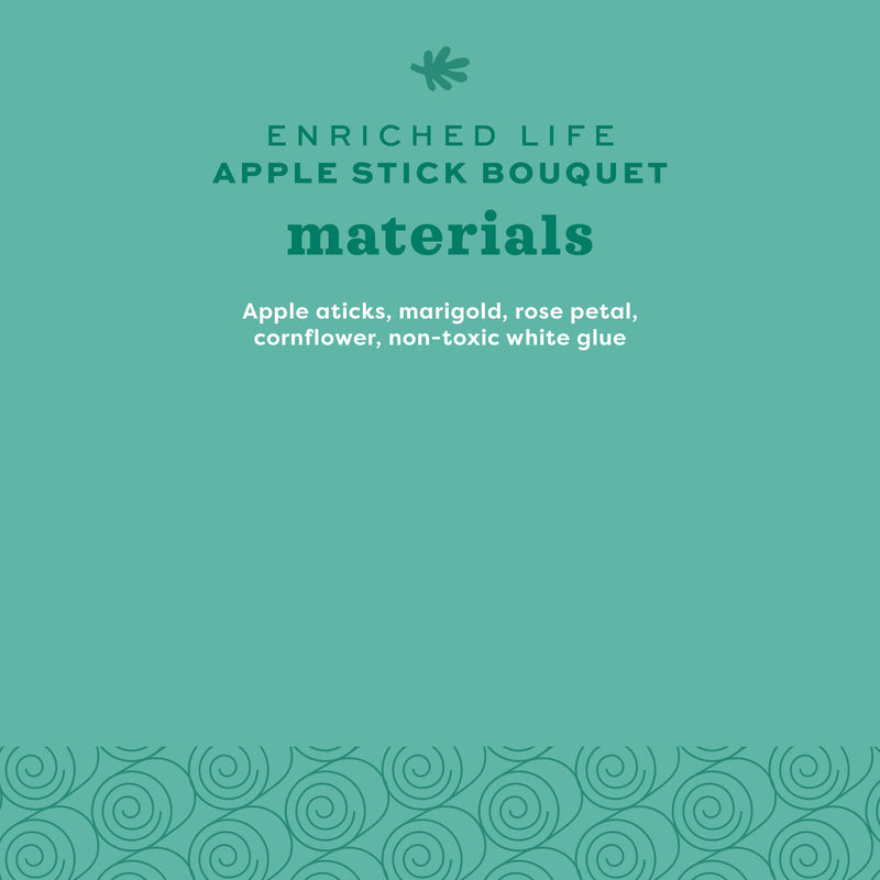 Oxbow Animal Health Apple Stick Bouquet