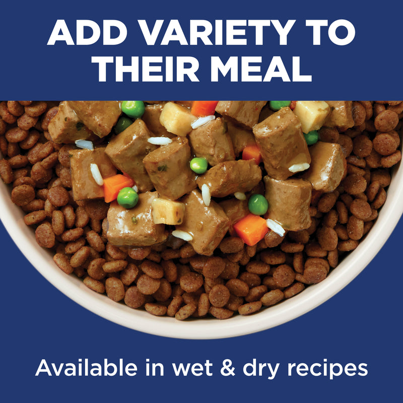 Hill's Science Diet Adult Salmon & Brown Rice Recipe Dry Dog Food