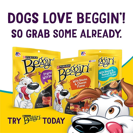 Purina Beggin' Beggin Stix Peanut Butter/Bacon Flavor 40 oz.