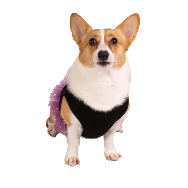 Skeleton Dog Halloween Dress