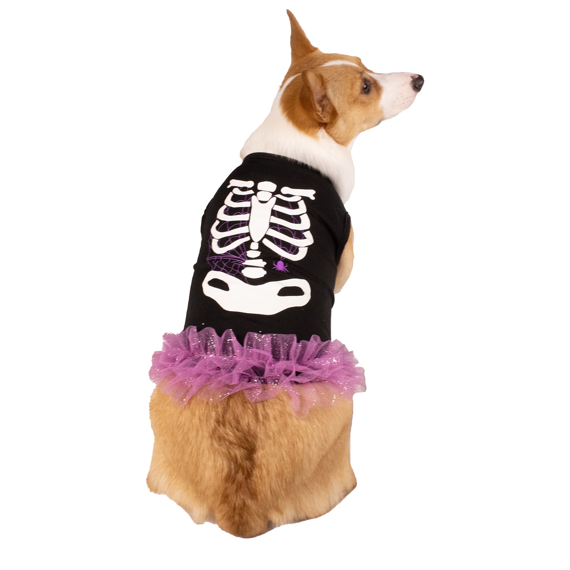 Skeleton Dog Halloween Dress  Petsense
