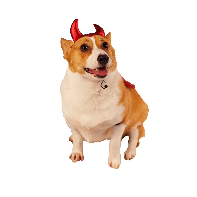 Metallic Devil Wings with Hat Set Pet Halloween Costume