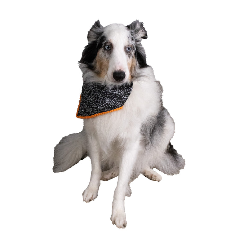 Dancing Skeletons Pet Bandana Halloween 2pk