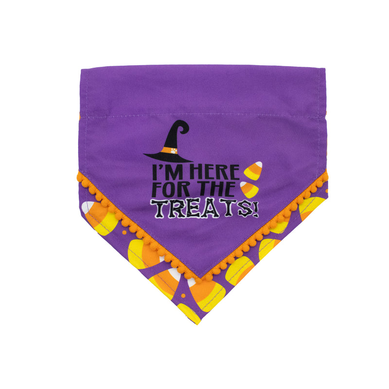 Halloween Treats Pet Bandana 2pk