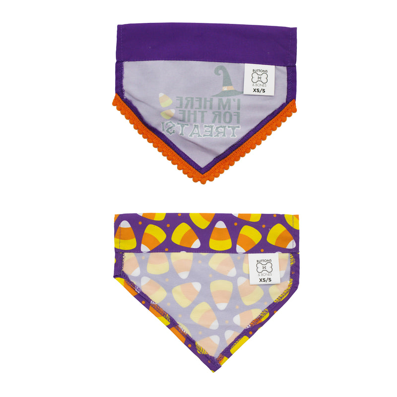 Halloween Treats Pet Bandana 2pk