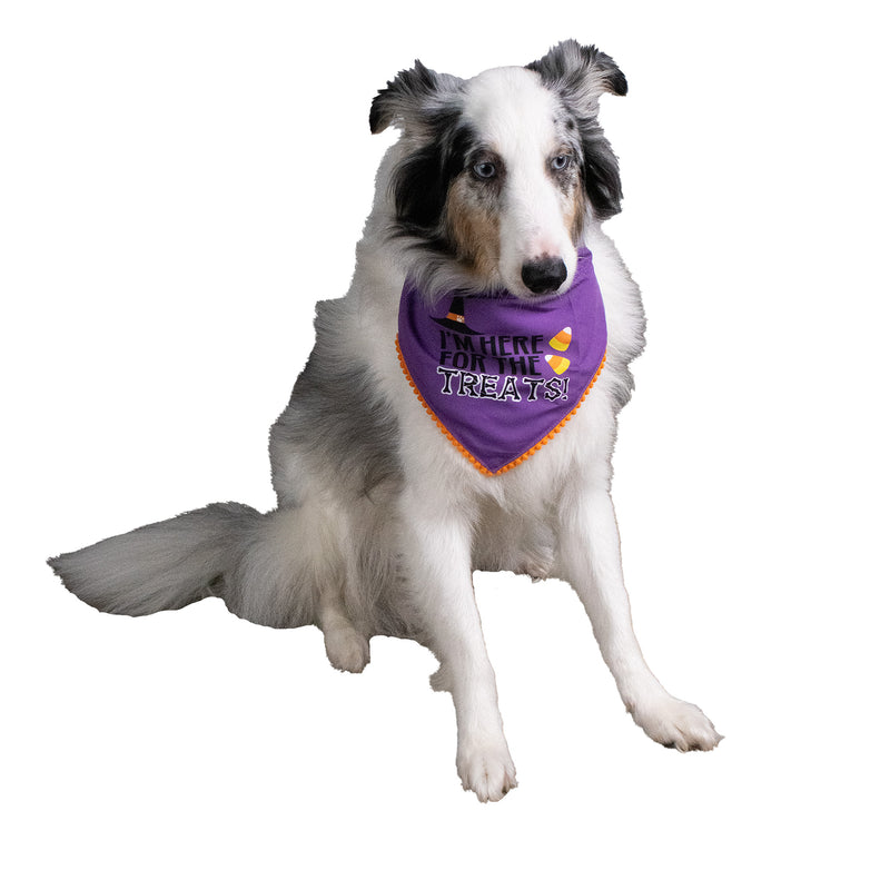 Halloween Treats Pet Bandana 2pk