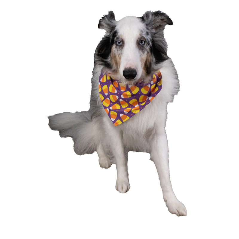 Halloween Treats Pet Bandana 2pk