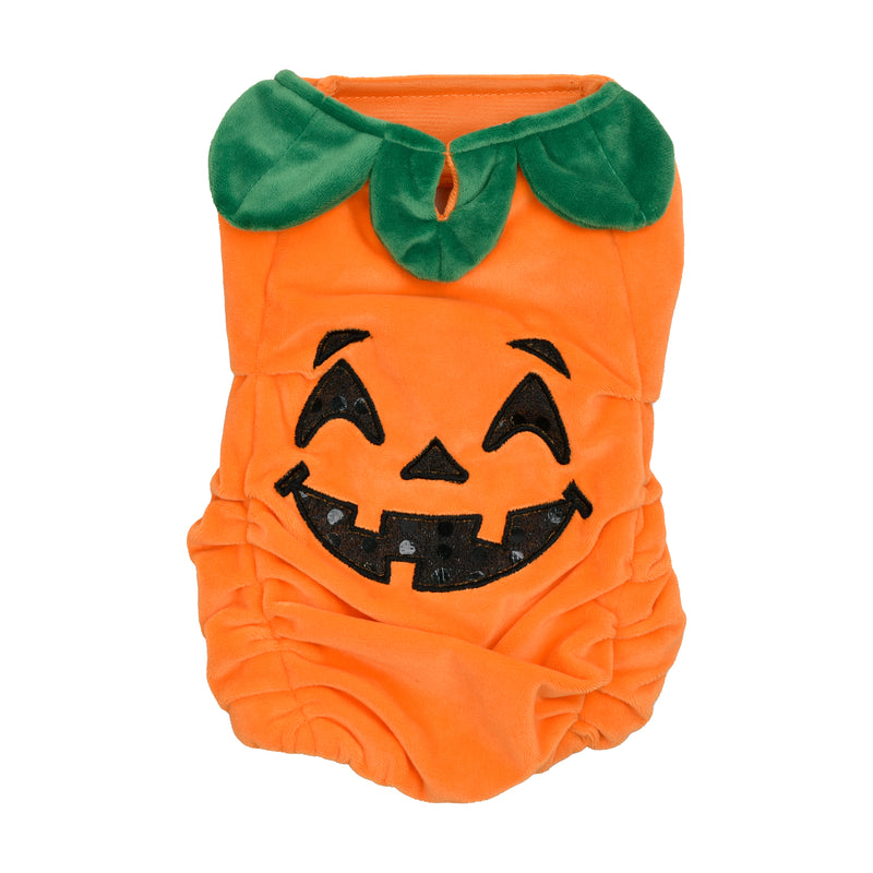 Pumpkin Pet Halloween Costume