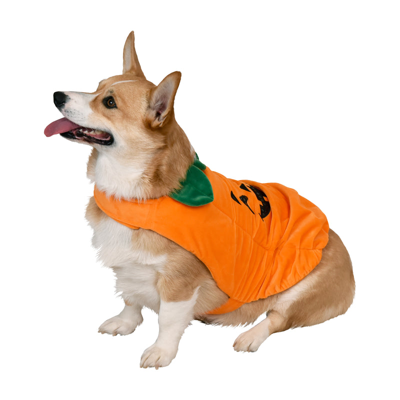 Pumpkin Pet Halloween Costume
