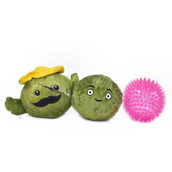 Patchwork Pet Prickles Cactus with Catus Dog Toy