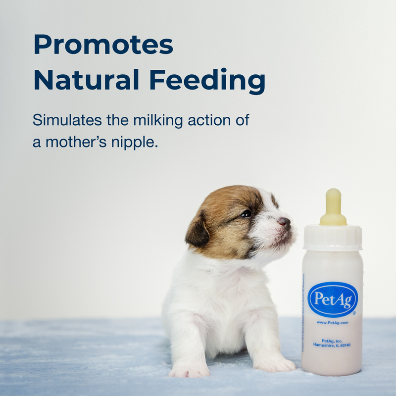 PetAg Nurser Bottle 2 oz. for Kittens