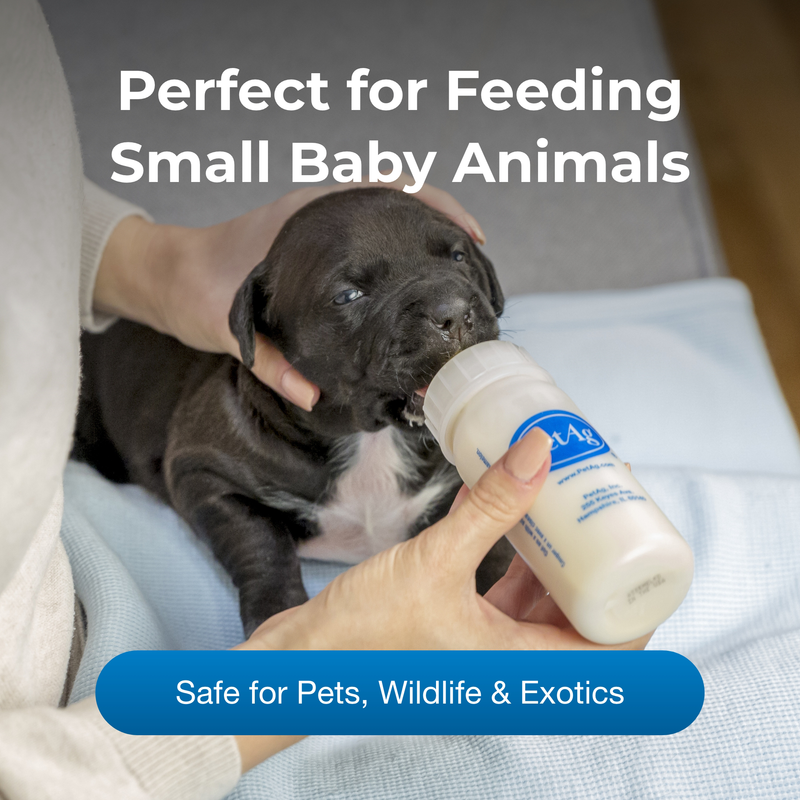 PetAg Nurser Bottle 4 oz. for Puppies