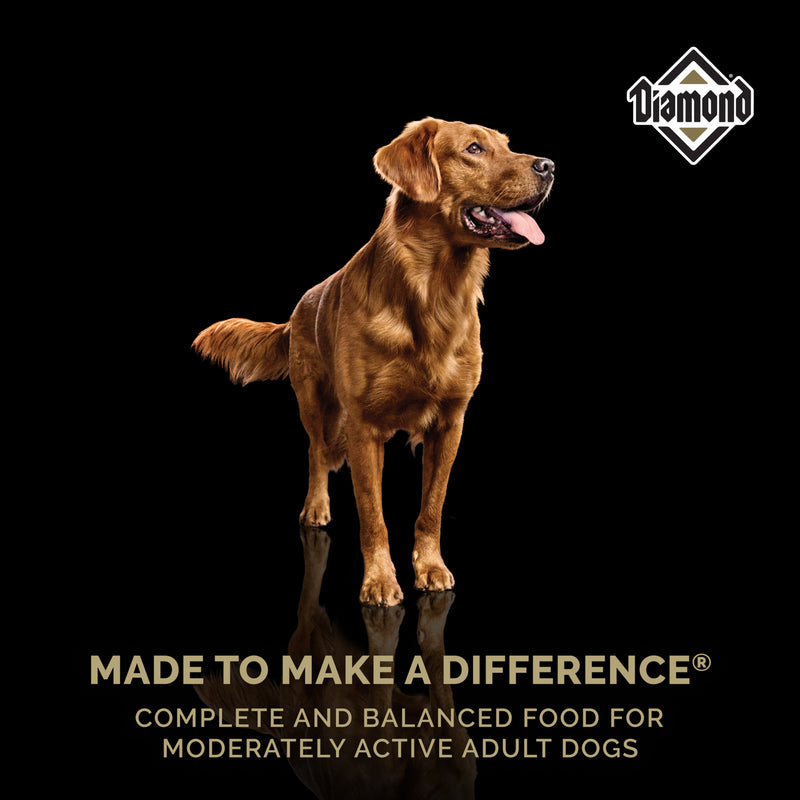 Diamond Maintenance Dry Dog Food