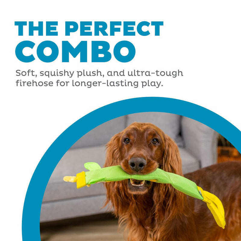 Outward Hound Firehose Fecth Zebra Dog Toy Green Large