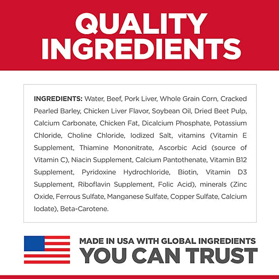 Hill's Science Diet Adult Beef and Barley Chunks Wet Dog Food, 13 oz.