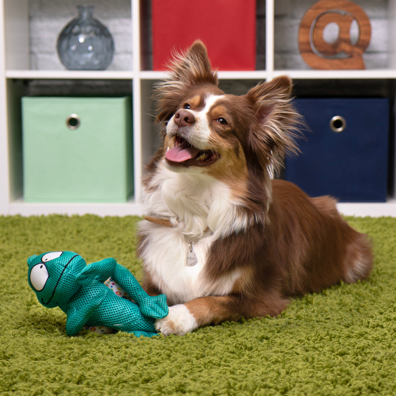 goDog Double Chew Guard Technology Chameleon Squeaker Plush Dog Toy, Teal, Medium