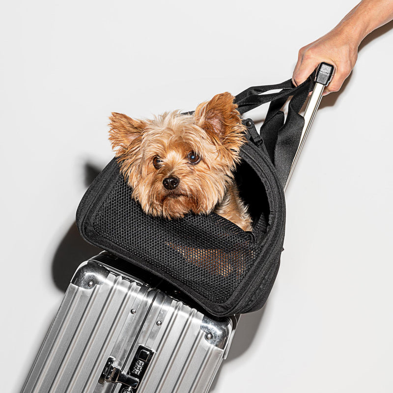 Wild One Black TSA Travel Carrier for Dogs