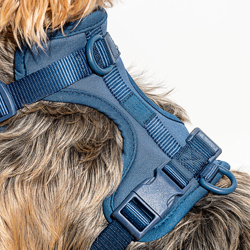 Wild One Dog Harness - Blue