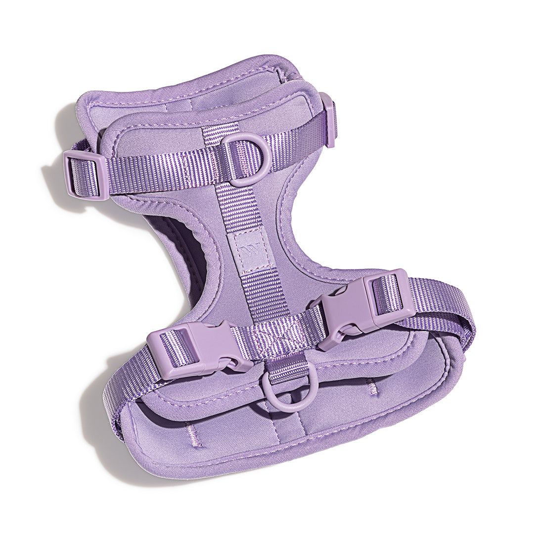Wild One Dog Harness -Lilac – Petsense