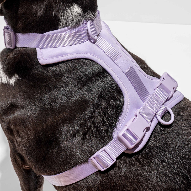 Wild One Dog Harness -Lilac