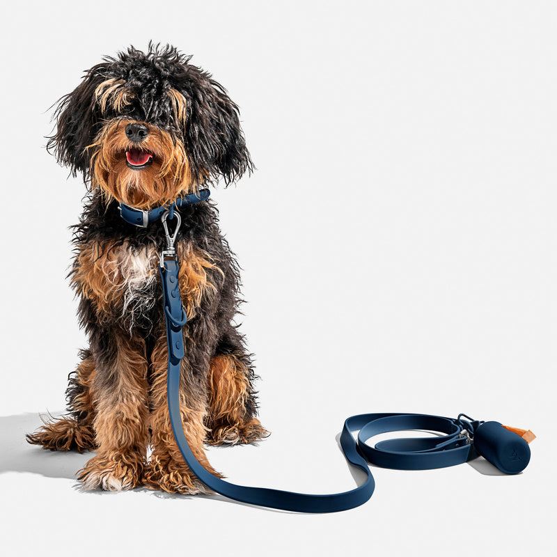 Wild One Leash - Blue