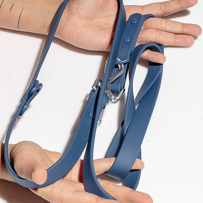 Wild One Leash - Blue