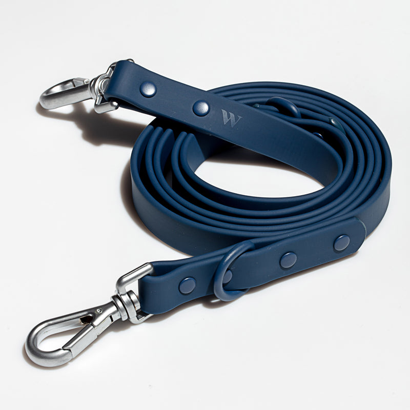 Wild One Leash - Blue