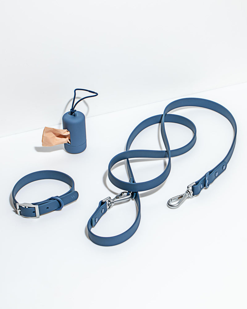 Wild One Leash - Blue