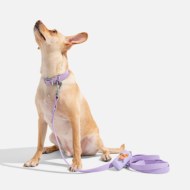 Wild One Leash - Lilac