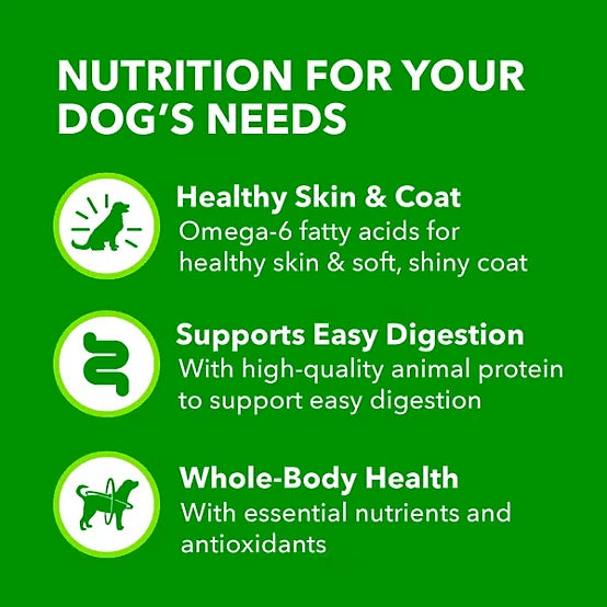 Iams Proactive Health Adult Lamb and Rice Classic Ground Wet Dog Food, 13 oz.