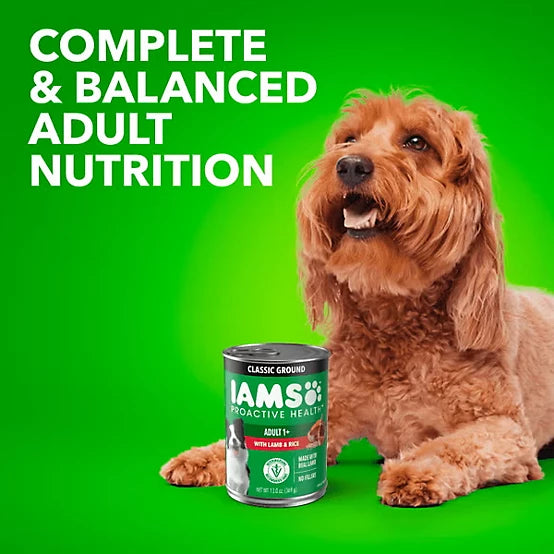Iams Proactive Health Adult Lamb and Rice Classic Ground Wet Dog Food, 13 oz.