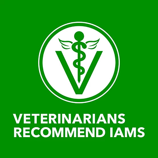 Iams Proactive Health Adult Lamb and Rice Classic Ground Wet Dog Food, 13 oz.