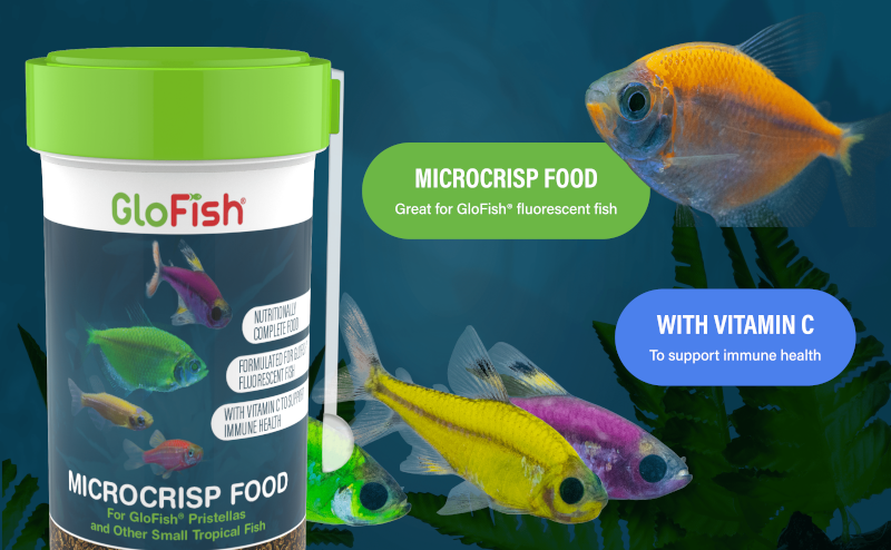 GloFish Microcrisp 1.38oz
