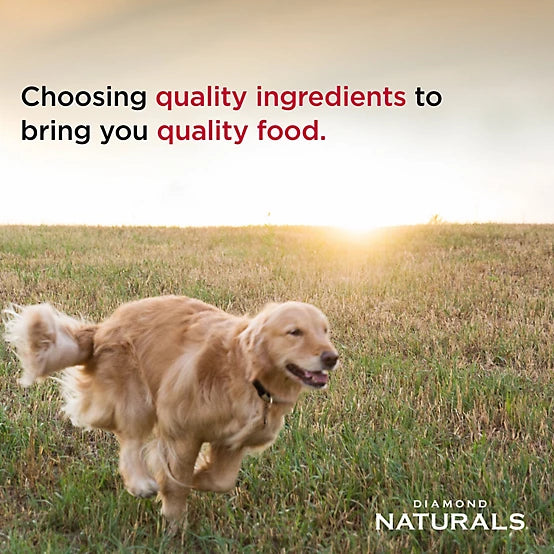 Diamond Naturals Large Breed Adult Lamb and Rice Formula Dry Dog Food, 40 lb. Bag